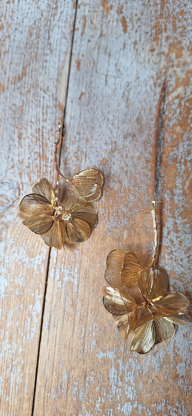 ANI dorado, pendientes