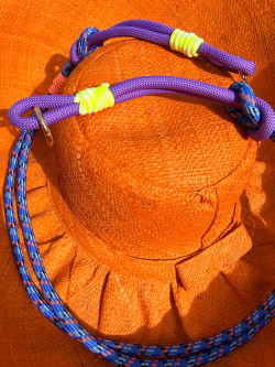 LION, Morado Portamóvil