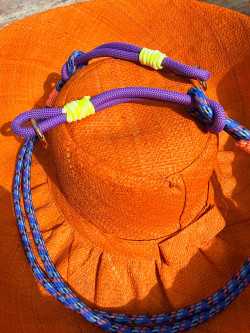 LION, Morado Portamóvil