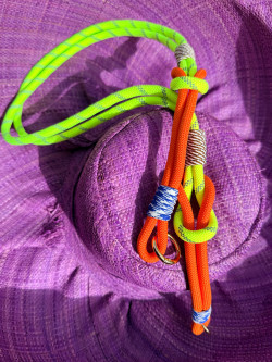 LION, Naranja Portamóvil