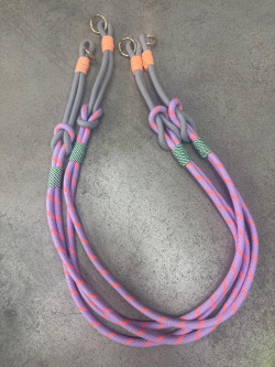 LION, ROSA Portamóvil